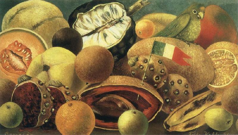  The still life having parrot and flag